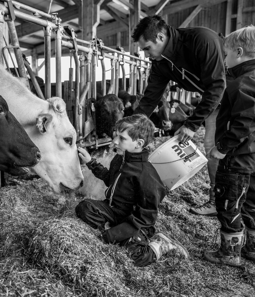 Bauer und Kinder füttern Rinder im Stall in Tirol