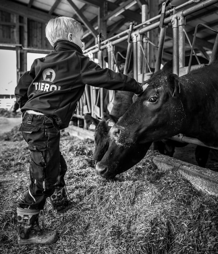 Kind streichelt Rinder im Stall in Tirol